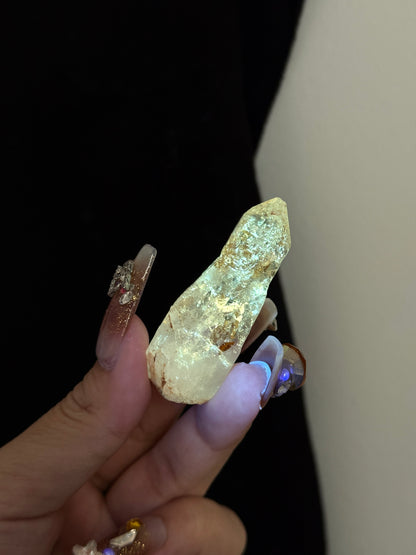 Golden Scepter Red Clay Filled Firefly Skeletal Petroleum Included Quartz UV Reactive with ENHYDROS