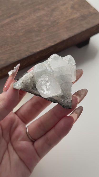 Diamond Apophyllite on Blue Green Stilbite